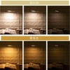 Iris Plaza PCL-R401-B LED Desk Light, Clip Light, 3 Levels,