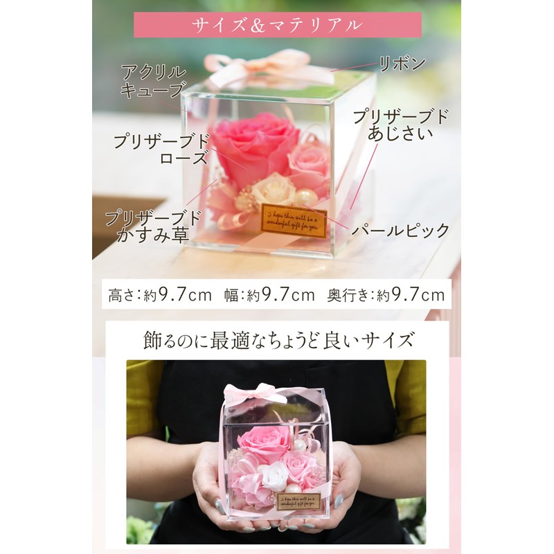 IPFA Preserved Flower Scrunchie Present, Rose, Acrylic Box (Birthday, Wedding