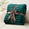 RUIKASI Fleece Throw Blanket for Sofa - Single Fluffy Emerald