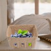 Alipis Pulp Fiber Berry Baskets 10Pcs Berry Boxes Picking Fruit