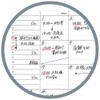 Raymei Fujii NT205 System Notebook, Free-Monthly Schedule, Block Type, A5