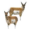 MONTANA DECOY Antelope Combo