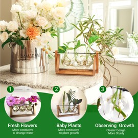 Propagation Station, Plants Terrarium, Plants Lover Gifts for Women,Plant Cutting Holder Home décor,Gifts for Women,House Warming New Home-3 Bulbs