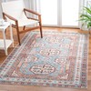 SAFAVIEH Serapi Collection Area Rug - 5'3" x 7'7", Light