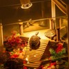 REPTI HOME Reptile Heat Lamp, UVA UVB Heat Lamp Bulbs,