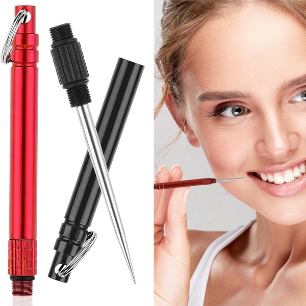 2 Pcs Metal Toothpick Stainless Steel Toothpicks with Keychain Portable
