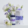 Sante Azulene Soother Ampoule 100ml / 상떼 아줄렌 수더 앰플