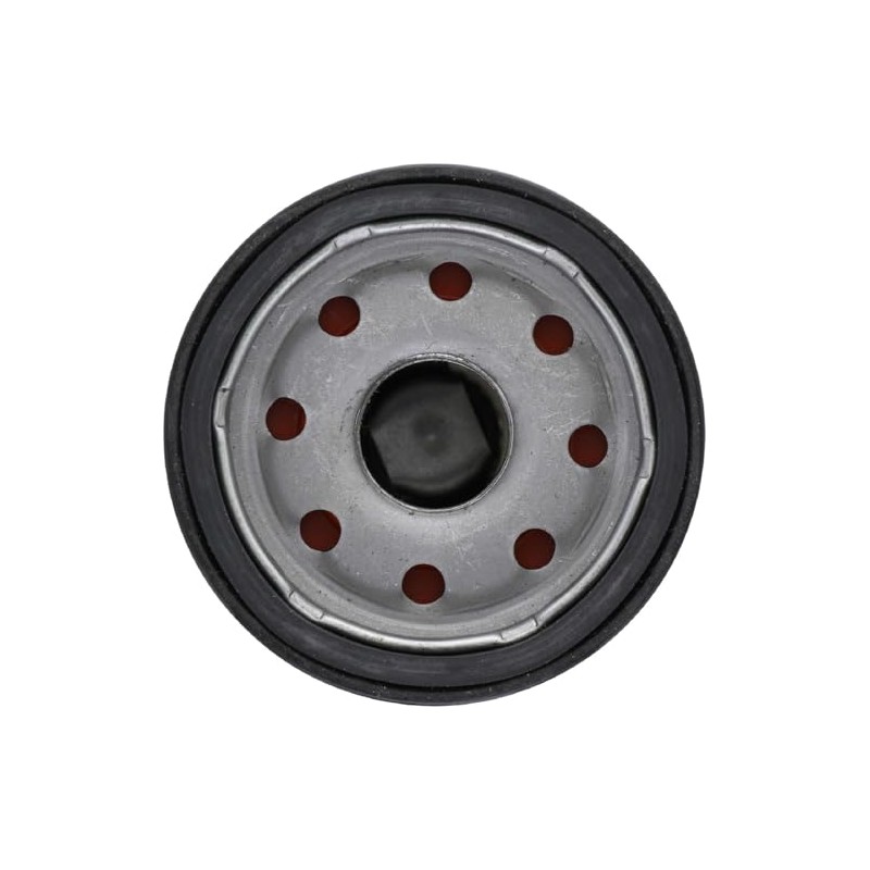 Bosch Filtro de Aceite Premium FILTECH 3323, Negro