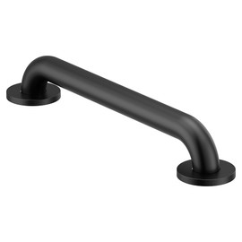 Moen Concealed Grab Bar AC Matte Black 16-Inch Bathroom Safety Grab Bar, R8916BL