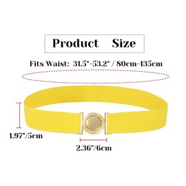 DAZCOS Men's Elastic Adjustable Anime Cosplay Belt (C)