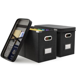 Oterri File Organizer Box with Lid, Hanging Filing File Box with Mesh Pocket, Document Organizer Box for Letter Files, Portable Storage Box with Smooth Sliding Rail for Office&Home (2 PCS, Black)