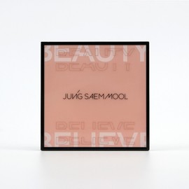 Jeongsaemmul JUNGSAEMMOOL Artist Eye Palette 15g 1ea -R / 정샘물 아티스트 아이 팔레트 15g 1개 -R