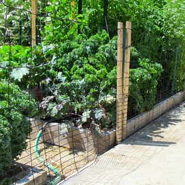 Fencer Wire Black Vinyl Coated 16 Gauge Rabbit Guard Fence, Poultry Outdoor Fencing Barrier Wire Roll for Garden Yard, Protecting Against Rabbits, and Other Small Animals Damage (40 in. x 50 ft.)