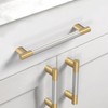 Coinkoly 10 Pack 10 Inch(254mm) Gold and Brush Satin Nickel