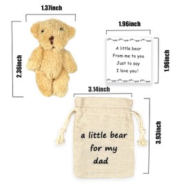 LUOKIFUR Pocket Bear Plush Doll Small Pocket Hug for Dad's Bear Hug Father's Day Christmas Birthday Gift(Pocket bear Dad)