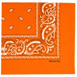 Raylarnia Bandana Multi-Purpose 100% Cotton Headbands for Women, 22 inch Paisley Cowboy Bandanas for Men