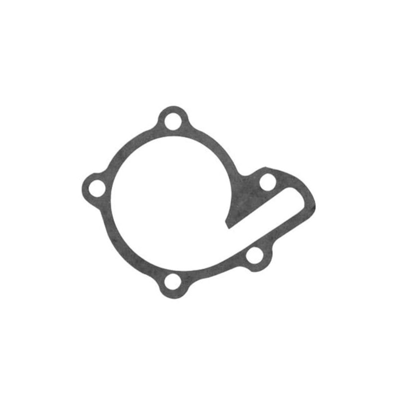 Tusk Water Pump Gasket