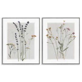 Stupell Industries Delicate Wildflower Herb Sprigs Lavender Nature Botanicals 2pc set Framed Wall Art, Design by Carol Robinson