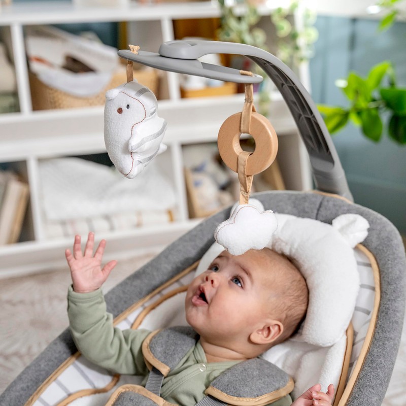 Ingenuity Boutique Collection Plush Modern Baby Rocker & Stationary Seat