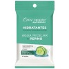Toallitas Desmaquillantes Con Agua Micelar + Pepino By Apple 30