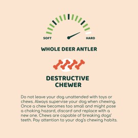 Little Loyals |100% Natural Grade A Premium Whole Deer Antler for Dogs |Long-Lasting Dog Chew |Dental Health |Perfect for Aggressive Chewers |Large Breeds (Extra Large)