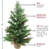 Northlight Mixed Cashmere Berry Pine Artificial Christmas Tree, Green