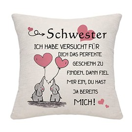 chwester Gift from Sister Brother Sister Pillow Case from Sister Brother Gift for Sister Birthday Gift (Sister)