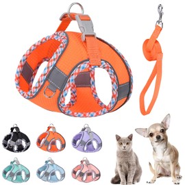 PETPUBGNZS Cute Plaid No Pull Dog Harness for Small Dogs Soft Mesh Small Dog Harness and Leash Set Easy Walk Step in Puppy Harness Vest Pet Cat Chihuahua Yorkie Shih Tzu Dog Harnesses (Orange,XXS)