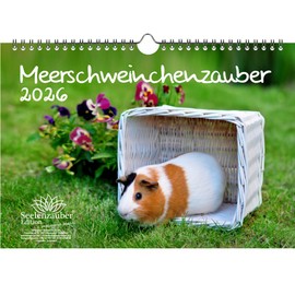 Guinea Pig Magic DIN A4 Calendar for 2026 Guinea Pigs, Gift Set Contents: 1 x Calendar, 1 x Christmas Pendant (2 Pieces in Total)