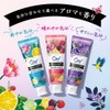 Aura Toume Aroma Flavor Collection Paste, Sparkling Citrus Mint, 4.6