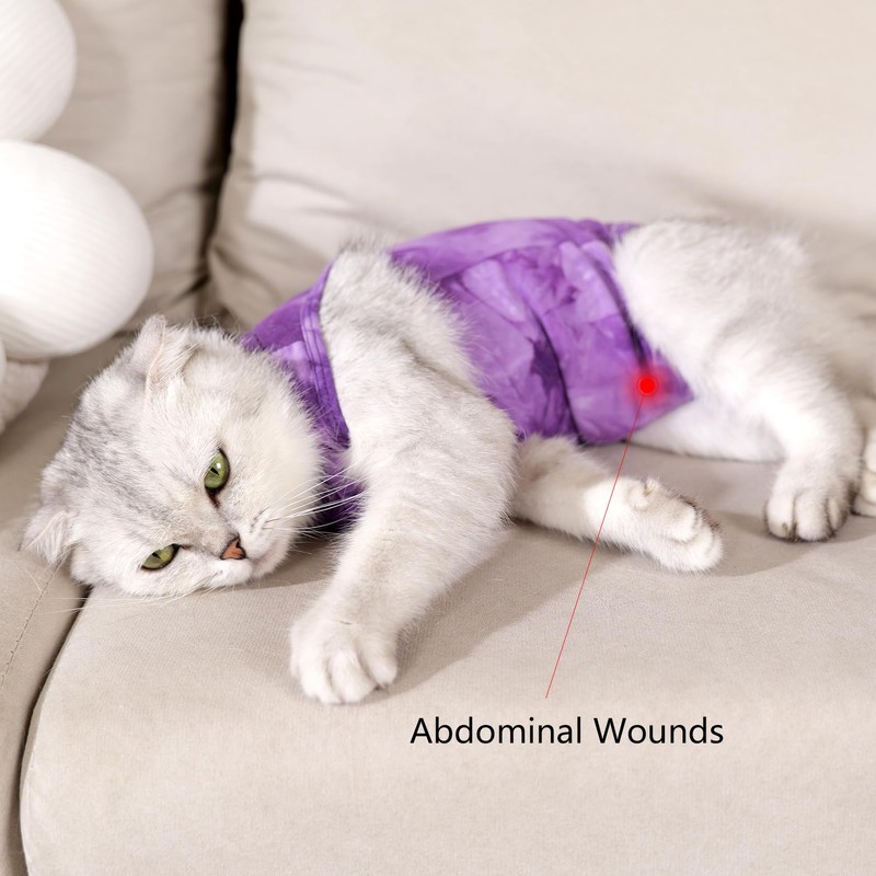 Cat Recovery Suit for Male and Female Surgical Post Surgery
