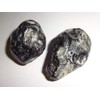 Apache Tears 2pc Natural Healing Crystal Gemstone Tumbled. Polished, Natural