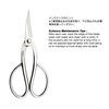 TONMA JP Professional Bonsai Scissors [Made in Japan] Stainless Steel
