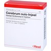 Cerebrum Suis INJEEL 1.1 ml Pack of 10