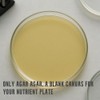 Yuantide Bio Lab-Grade 100% Agar Agar Powder(2024 Packaging),150g / 5oz,