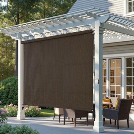 AOSKY Outdoor Roller Shades，Cordless Patio Shades Roll Up Outdoor Blinds，Roller Blinds Cloth for Porch Pergola Balcony Backyard Windows，36" W x 72" H，Mocha
