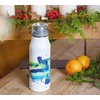 Alfi Stainless steel drinking bottle elementBottle 600 ml, stainless steel
