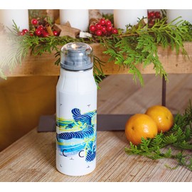 Alfi Stainless steel drinking bottle elementBottle 600 ml, stainless steel bottle completely leak-proof for carbonated dioxide (Bisphenol A), bottle for children