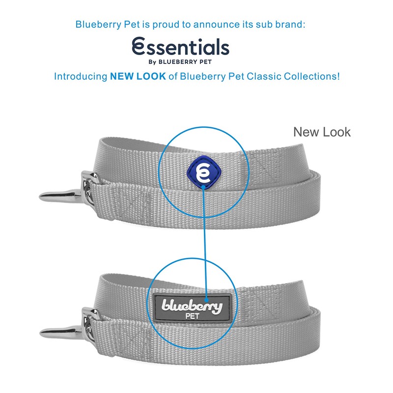 Blueberry Pet Essentials 21 Colors Durable Classic Dog Leash 5