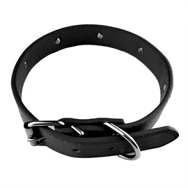 AiliStar New Skull Dog Collar Skeleton Cat Collar Skull Design Pet Collar for Dogs and Cat Black Medium Fits for Neck Girth from 11.5" to 13.5"