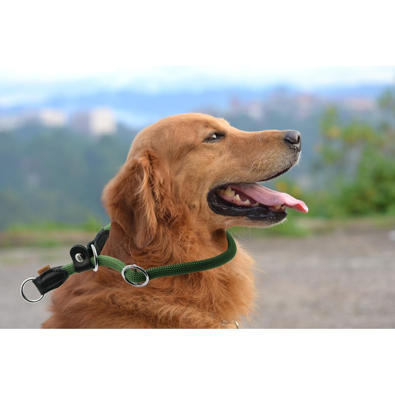 Aiminto Braided Rope Collar, Training Dog Collar, Round Martingale Collar,