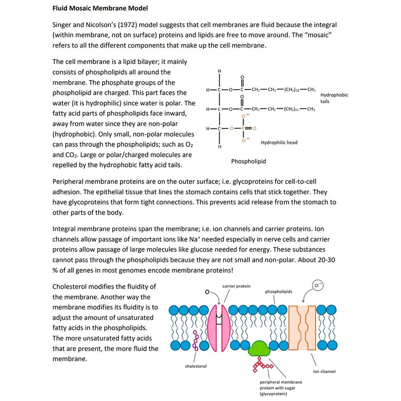 Callan’s Science 10 Alberta (SCN1270) Course Book - Over 300