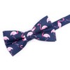 OCIA Men's Bow Tie Pattern Bow Tie for Boys Wedding