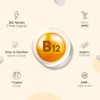 Vitamin B12 Tablets - 365 Tablets - 1 Year Supply