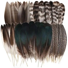 300 Pcs Small Feathers 10 Style Mixed Spotted Decorative Natual Pheasant Feather for DIY Crafts Clothing Jewelry Hair DecorationColor: Natural Gray-2