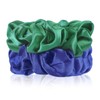 Silk Hair Scrunchies - 100% Mulberry Silk hair ties Elastic