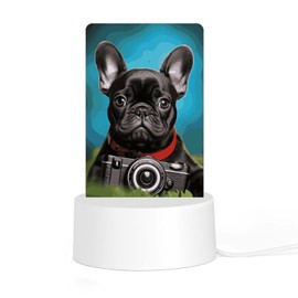 BVNMT Night Light with Switch,French Bulldog Puppy with Camera Printed Acrylic Nightlight for Kids Nursery Bedroom Bathroom Hallway Stairways Corridor Garage