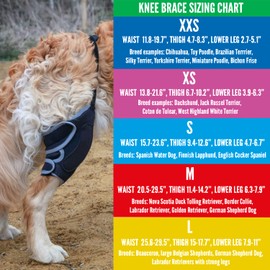 Taituki Knee Brace for Dogs with ACL (L Right)
