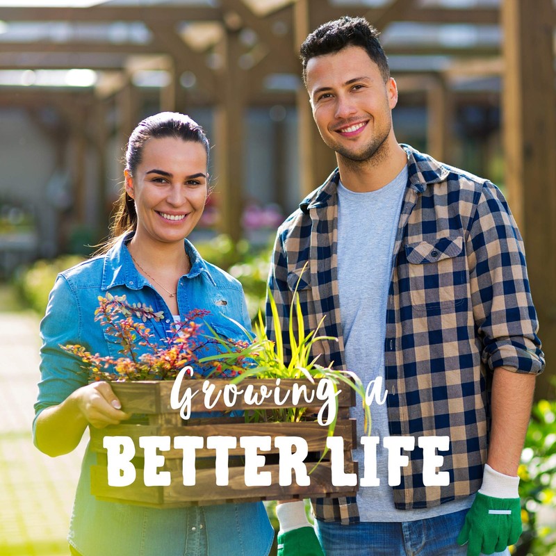 Pinto Bean Seeds - 30 g Packet ~75 Seeds -