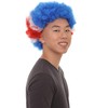 Patriotic Costa Rica Flag Afro Wigs